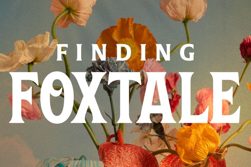 Finding Foxtale Gift Card