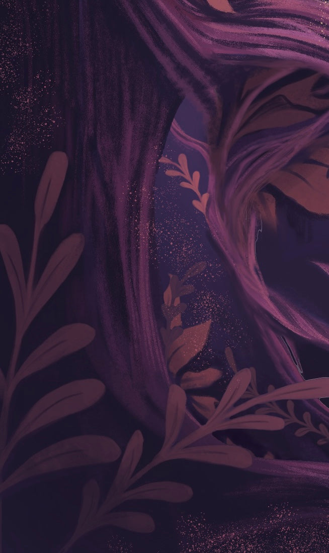 Forest Foxtale Foxtale Forest – Finding Foxtale