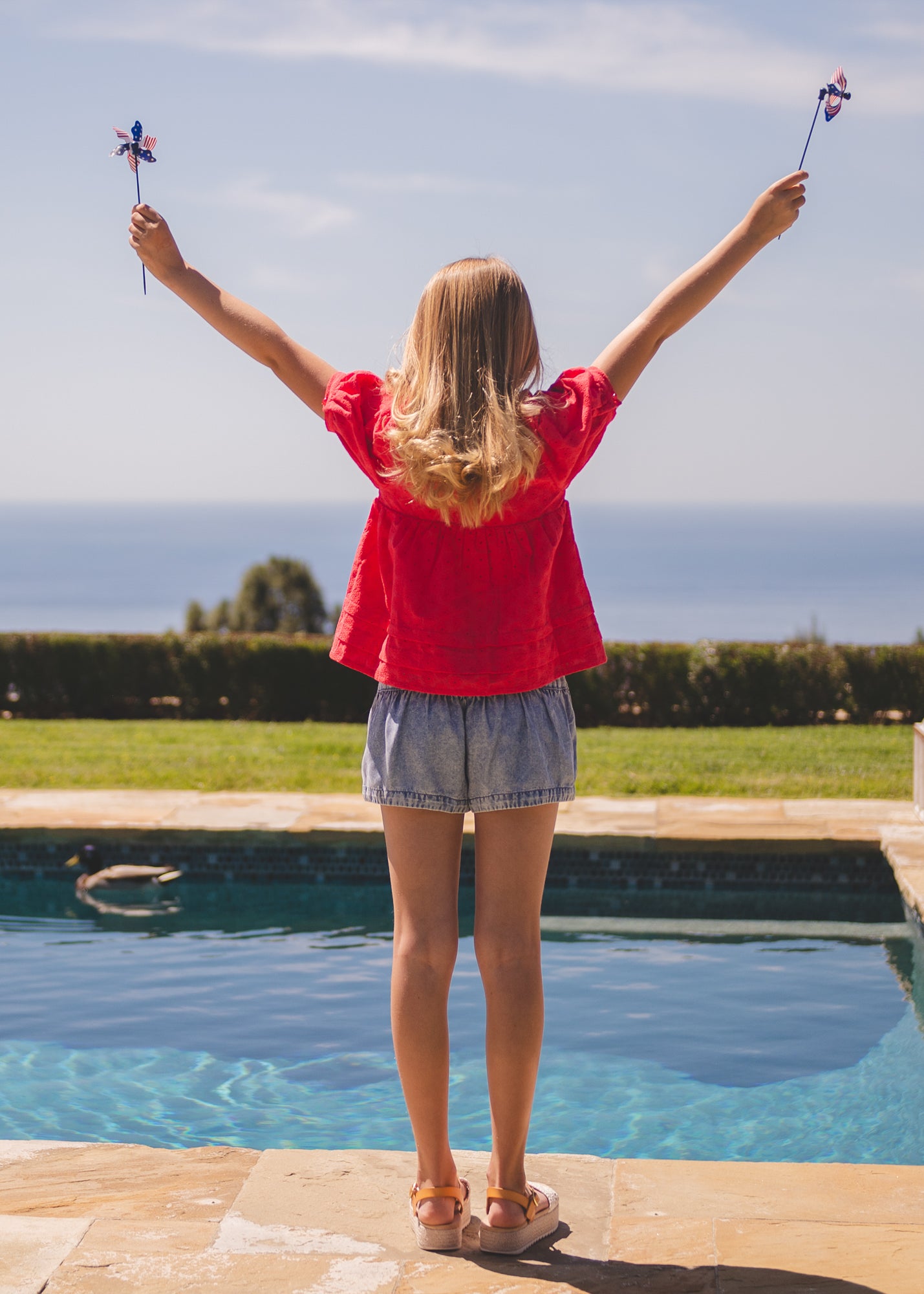 Strawberry Fields Top