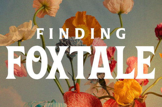 Finding Foxtale Gift Card