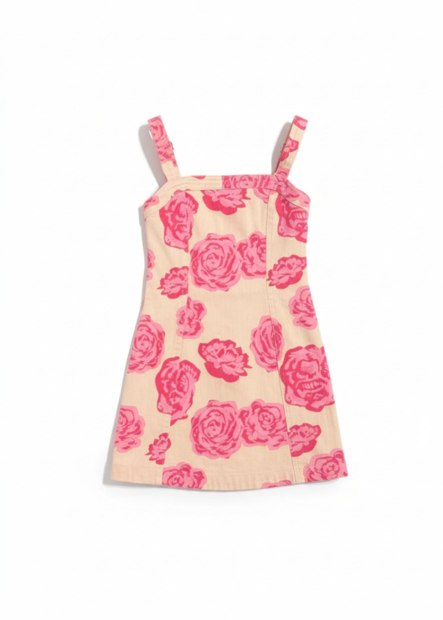 Wild Roses Denim Dress