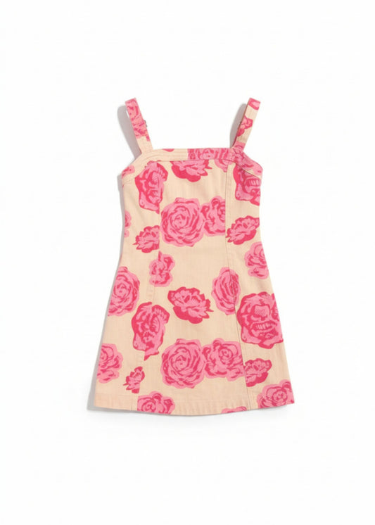 Wild Roses Denim Dress
