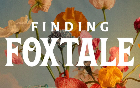 Finding Foxtale Gift Card